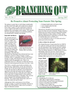 Be Proactive About Protecting Your Forests This Spring  Spring 2007