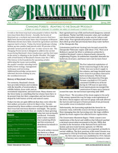 Vol. 17 No. 2 Spring 2009 www.naturalresources.umd.edu  A walk in the forest may lead some people to believe that the 