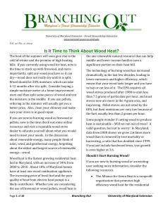 Is it Time to Think About Wood Heat?