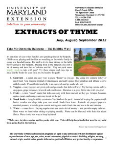 EXTRACTS OF THYME