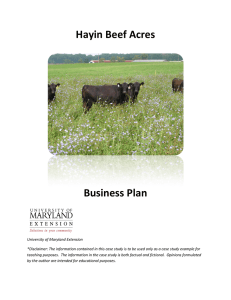 Hayin Beef Acres Business Plan