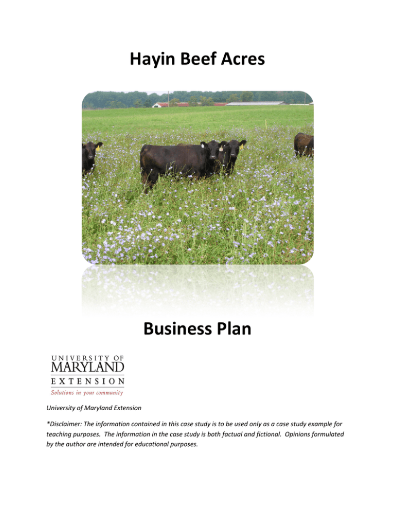 beef pares business plan