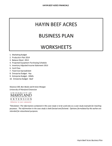 HAYIN BEEF ACRES BUSINESS PLAN WORKSHEETS