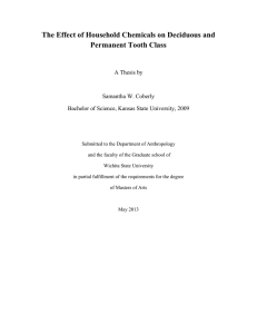 The Effect of Household Chemicals on Deciduous and Permanent Tooth Class
