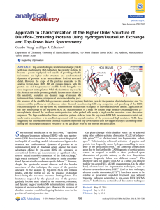 Approach to Characterization of the Higher Order Structure of