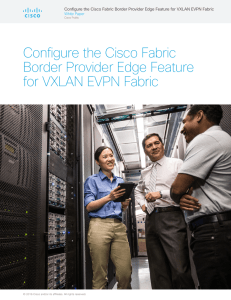 Configure the Cisco Fabric Border Provider Edge Feature for VXLAN EVPN Fabric