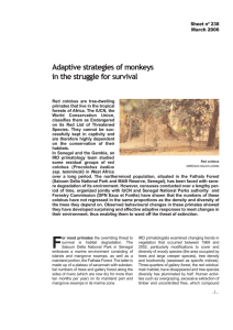 Adaptive strategies of monkeys in the struggle for survival Sheet nº 238