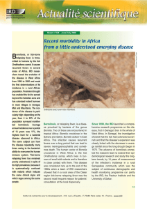 B Record morbidity in Africa from a little-understood emerging disease