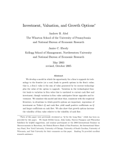 Investment, Valuation, and Growth Options