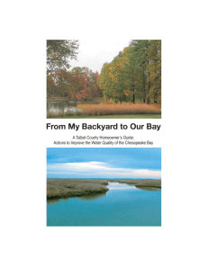 From My Backyard to Our Bay A Talbot County Homeowner’s Guide: