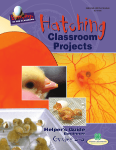 Hatching Classroom Projects Grades 2-5
