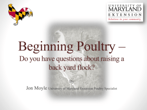 Beginning Poultry – Do you have questions about raising a Jon Moyle