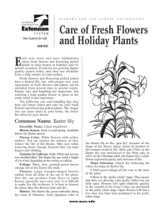 E Care of Fresh Flowers and Holiday Plants
