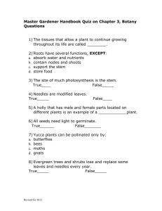 Master Gardener Handbook Quiz on Chapter 3, Botany Questions