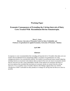 Working Paper Economic Consequences of Extending the Calving Intervals of Dairy