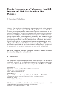 Peculiar Morphologies of Subaqueous Landslide Deposits and Their Relationship to Flow Dynamics