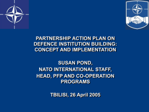 PARTNERSHIP ACTION PLAN ON DEFENCE INSTITUTION BUILDING: CONCEPT AND IMPLEMENTATION SUSAN POND,