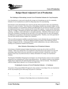 Budget Based Adjusted Cost of Production Cost of Production