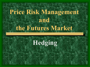 Price Risk Management and the Futures Market Hedging