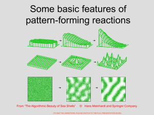 1 Basic features of pattern-forming reactions.ppt