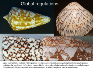 6 Global regulations.ppt
