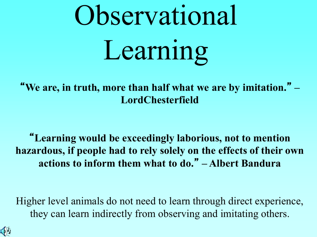 Bandura And Observational Learning 2024 favors