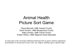 Animal Health Picture Sort Game
