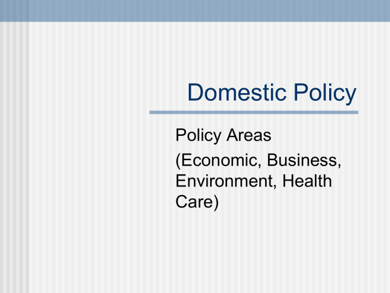 Examples Of Domestic Policy Issues