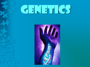 Genetics