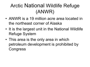 Should ANWR be opened up for drilling?