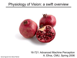 Physiology of Vision: a swift overview 16-721: Advanced Machine Perception