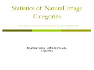 Statistics of  Natural Image Categories Jonathan Huang () 1/30/2006