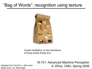 “Bag of Words”: recognition using texture 16-721: Advanced Machine Perception