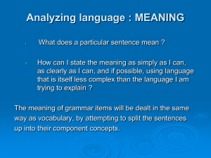 Analyzing language : MEANING