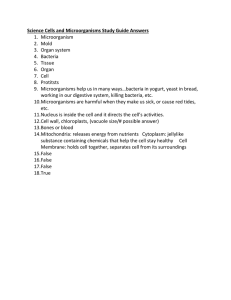 Answer Key for Study Guide