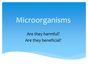 Power Point: Microorganisms