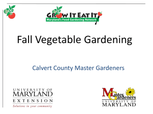 MG5 Fall Vegetable Gardening