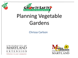 MG10 Planning Vegetable Gardens