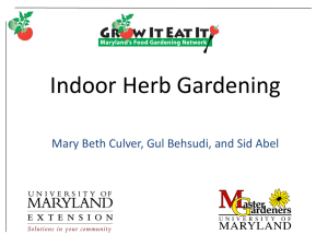 MG21 Indoor Herb Gardening
