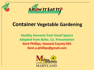 Container_Vegetable_Gardening- kp