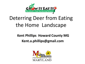 Deterring Deer in the Home Landscape