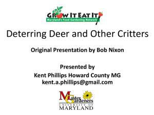 Deterring Deer and Other Critters -  kp