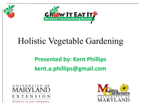 Holistic vegetable gardening