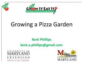 How to Grow A Pizza Garden