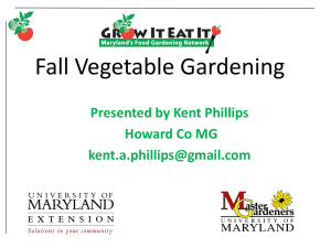 Fall Vegetable gardening
