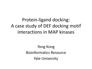 "Protein-ligand docking:  A case study of DEF docking motif interactions in MAP kinases”