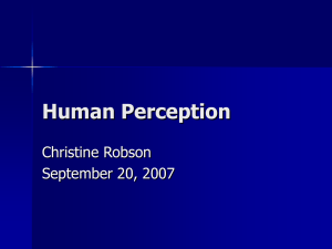 Human Perception Christine Robson September 20, 2007