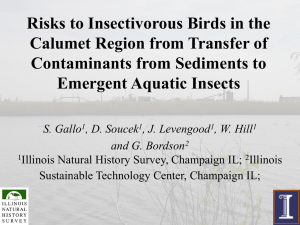 Risks to Insectivorous Birds in the Calumet Region from Transfer of