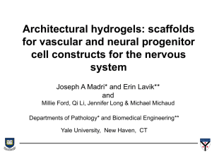 Architectural hydrogels: scaffolds for vascular and neural progenitor system