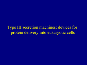 Type III secretion machines: devices for protein delivery into eukaryotic cells